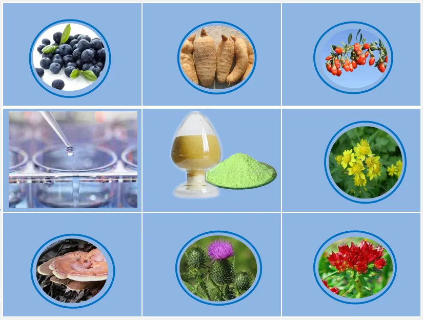 info-825-624 info-825-624